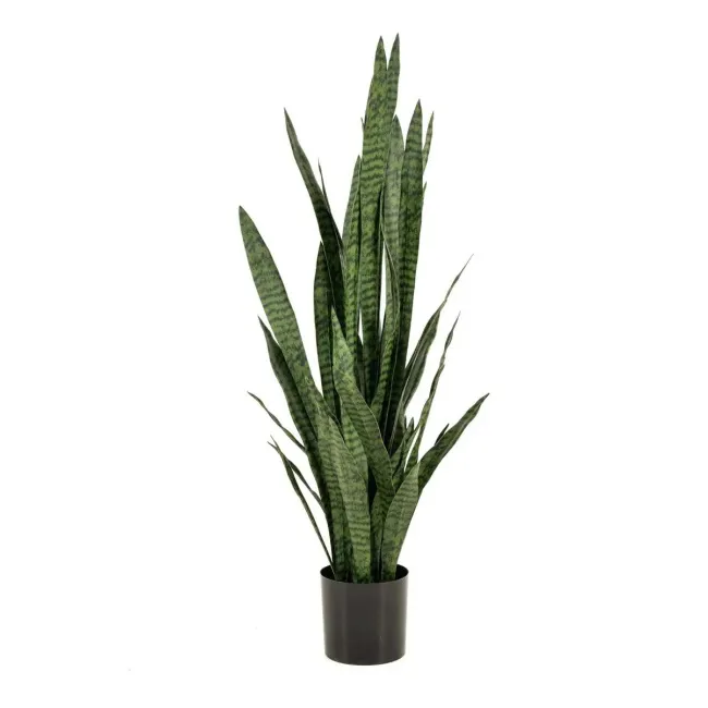 Kwiat Sanseviera w doniczce 140cm - 1