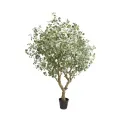 Eucalyptus Tree 240cm - 1