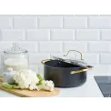 Pot 24cm 4.9L Gold with Lid - 4