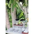 Taca Radici 41x3x27,2x6cm szara - 2