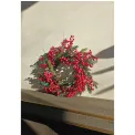 Red Berries Wreath 55cm Silver Fir - 5