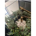 Wieniec zielone jagody z szyszkami 45cm cyprys - 4