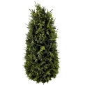 Cypress Decorative Tree 53cm - 1