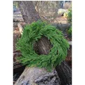 Japanese Cedar Wreath 66cm - 3