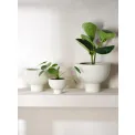 Midoro Vase 25x20 cm on Foot Cream - 2