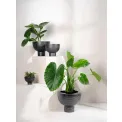 Midoro Vase 31x24 cm on Foot Black - 2