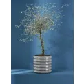 Loopy Plant Pot Cover 19x18cm Grey - 2