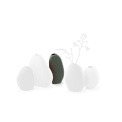 Wazon Bud 14x4x7cm ciemnozielony - 1