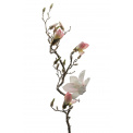 Pink Magnolia Branch 135cm - 1