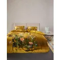 Set of 2 Ficaria Pillowcases 50x70cm Yellow - 3