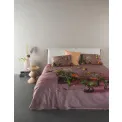 Essenza Ficaria Bedding Set 220x200cm Pink - 3