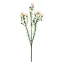 Waxflower Stem 40 cm pink - 1