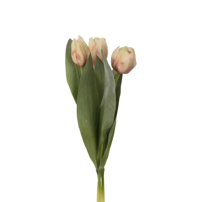 Kwiat tulipan 36cm brzoskwiniowy (1sztuka mix)