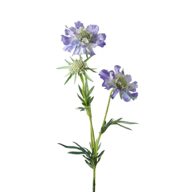 Blue scabious branch 70cm