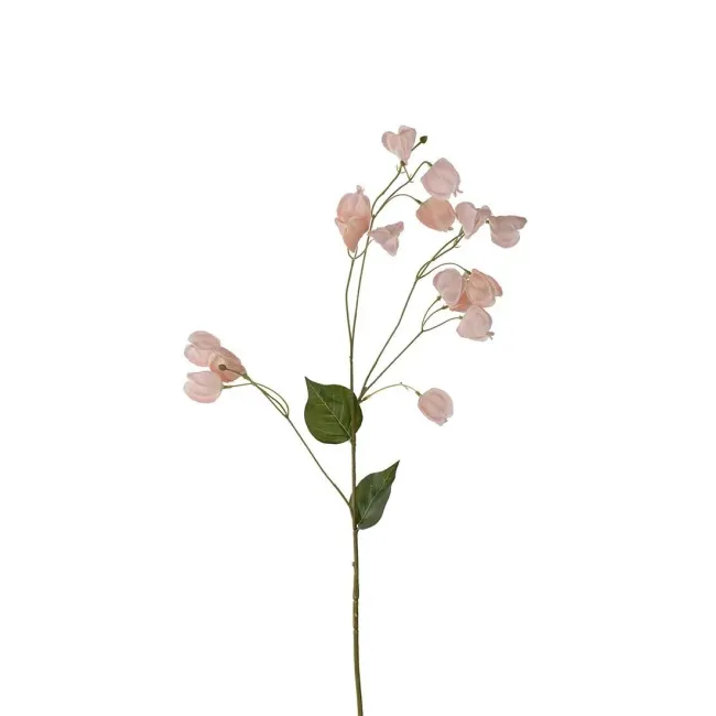 Bladderberry Flower 85cm Pink