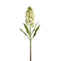 Kwiat lewkonia 70cm zielona - 1