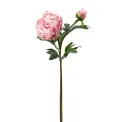 Kwiat piwonia 65cm różowy