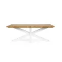 Palmdale garden table teak wood 200x100cm - 1