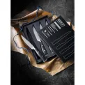 Set of 4 Grand Class Steak Knives - 3
