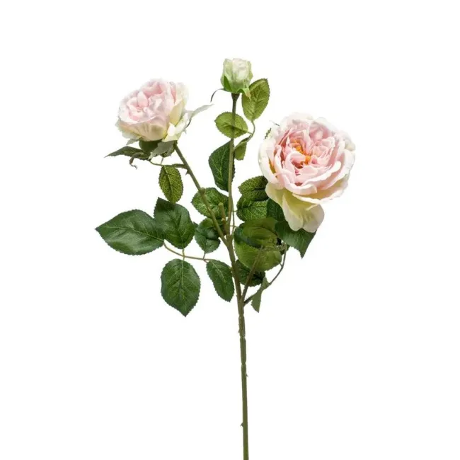 Róża 58cm różowa