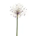 Sztuczny kwiat czosnku 105cm fioletowy - 1