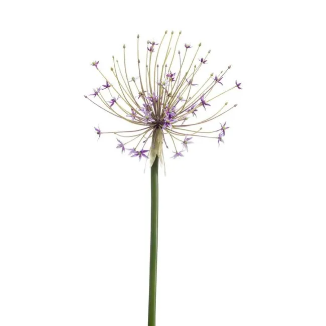 Sztuczny kwiat czosnku 105cm fioletowy