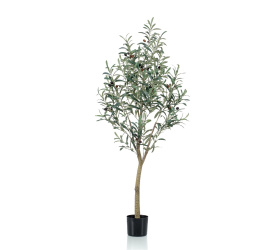 Drzewko oliwne 140cm