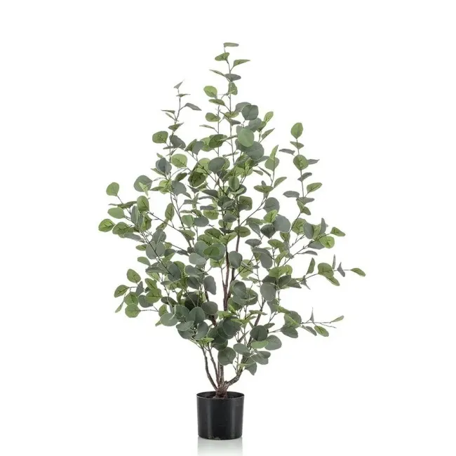 Drzewko Eukaliptus 120cm