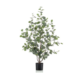 Drzewko Eukaliptus 120cm