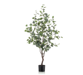 Drzewko Eukaliptus 140cm