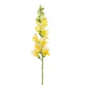Yellow snapdragon 78cm - 1