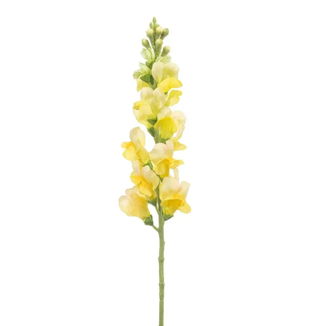 Yellow snapdragon 78cm