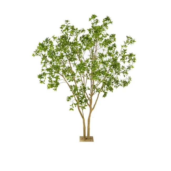 Laurel tree 285cm