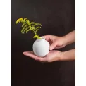 Piccolini Vase 6,5x6,5cm - 2