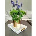 White wooden tray 33×22cm with gold handles - 2