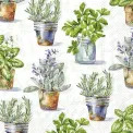 Napkins 33cm aromatic herbs light green - 1