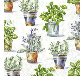 Serwetki 33cm aromatic herbs jasnozielony 