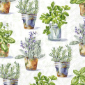 Serwetki 33cm aromatic herbs jasnozielony  - 1