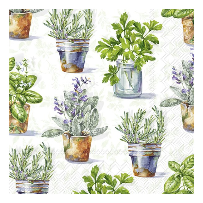 Serwetki 33cm aromatic herbs jasnozielony 