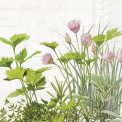 Serwetki 33cm natural herbs - 1