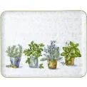 Tray 36x28x1,5cm willow wood light green - 1