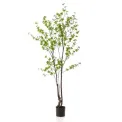 Sztuczne drzewko Nasturcja 210cm - 1