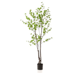 Drzewko Nasturcja 210cm 