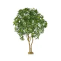 Pachira tree on a stand 285cm - 1