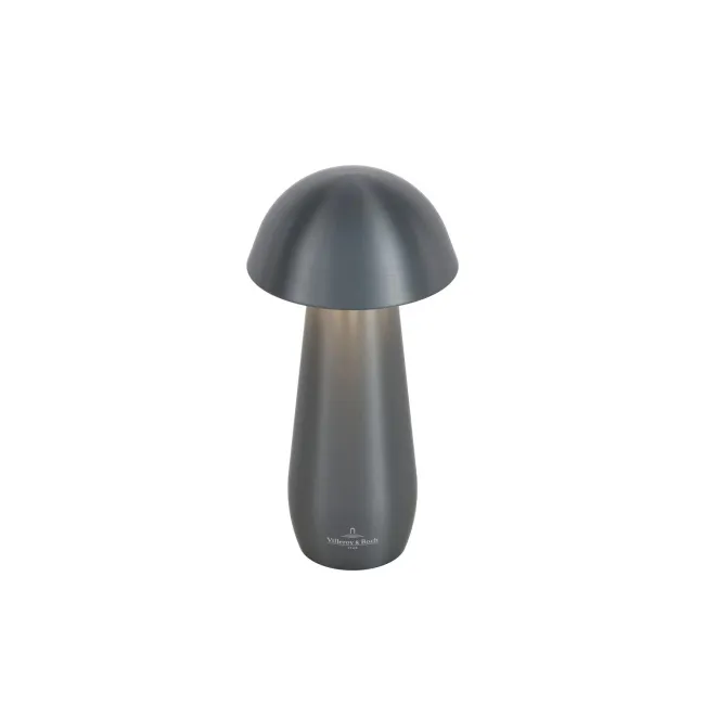 LED Lamp Modena 16cm 1W 120lm 2200–3000K 1800mAh brushed graphite