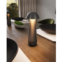 Lampa LED Modena 21cm 1.5W 170lm 2200-3000K 3600mAh szczotkowany grafitowy - 2
