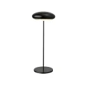 Lampa LED Flyer 31cm 2.2W 220lm 3000K 4400mAh - 1