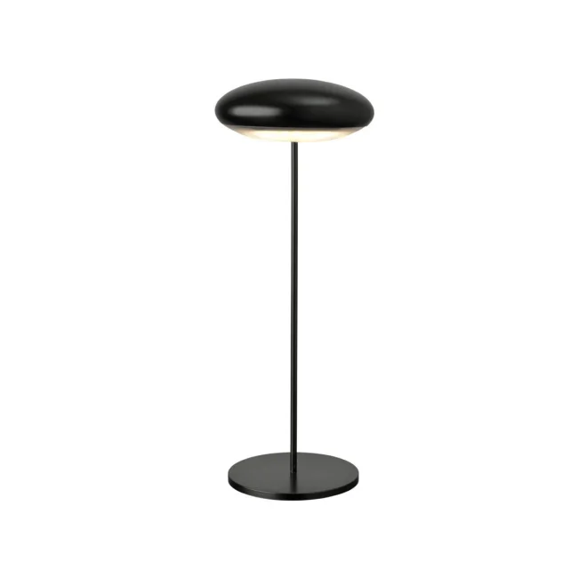 Lampa LED Flyer 31cm 2.2W 220lm 3000K 4400mAh