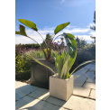 Donica Rodez kwadratowa 25x25x25cm kremowa S - 3