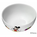 Mickey Mouse Bowl - 1